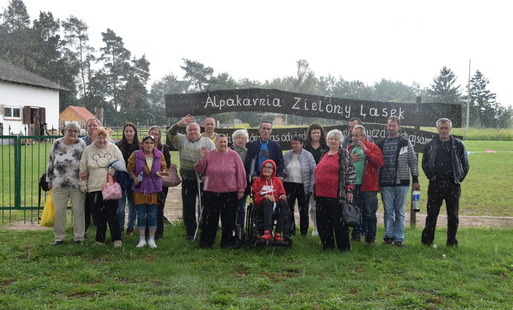 Zdjęcie do Z wizytą w Alpakarnii Zielony Lasek w Sępopolu